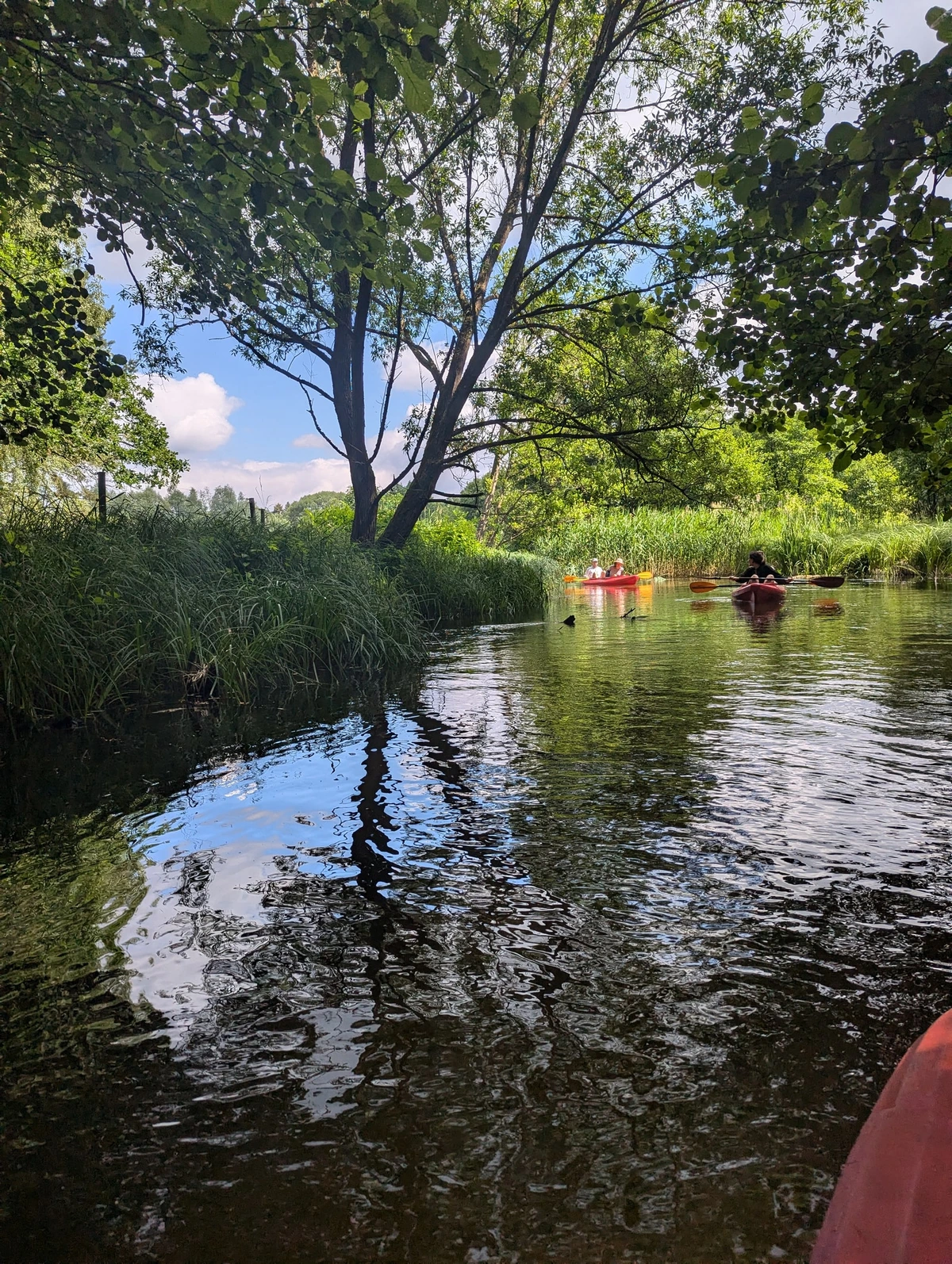 Kajakgruppe auf einem grünen Kanal in Brandenburg