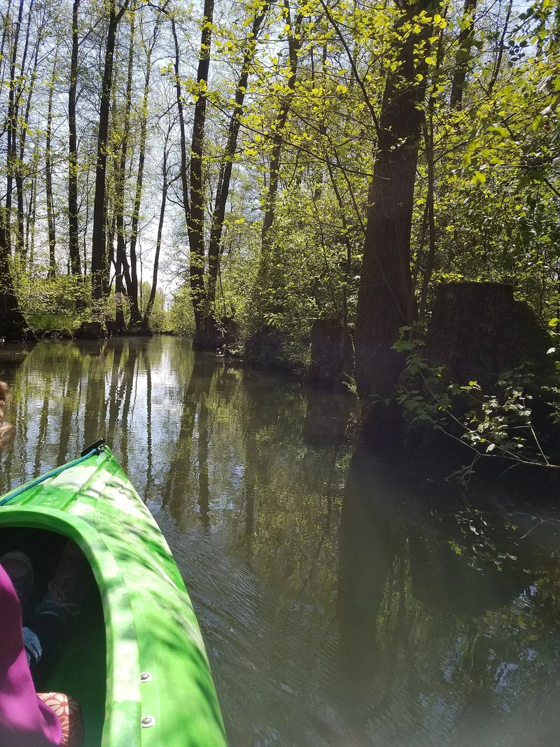Kanutour auf einem Spreewald-Fließ bei Raddusch, Brandenburg