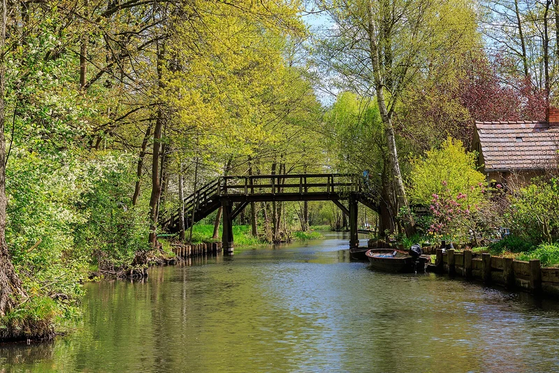 Stilles Fließ im Spreewald-Auenwald bei Lübbenau, Brandenburg