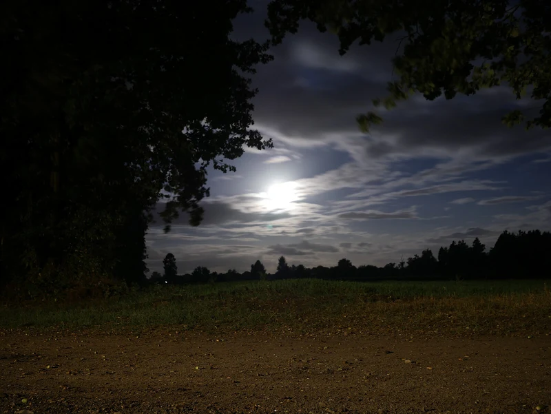 Langzeitbelichtung: Felder bei Nacht unter dem Mondhimmel, Deutschland