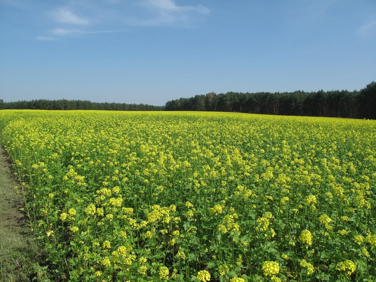 Ernährung & Landwirtschaft