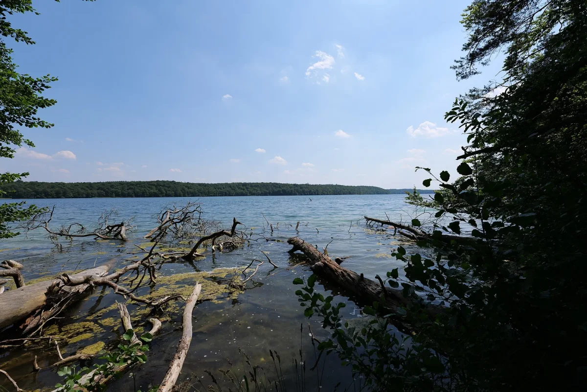 Wasser