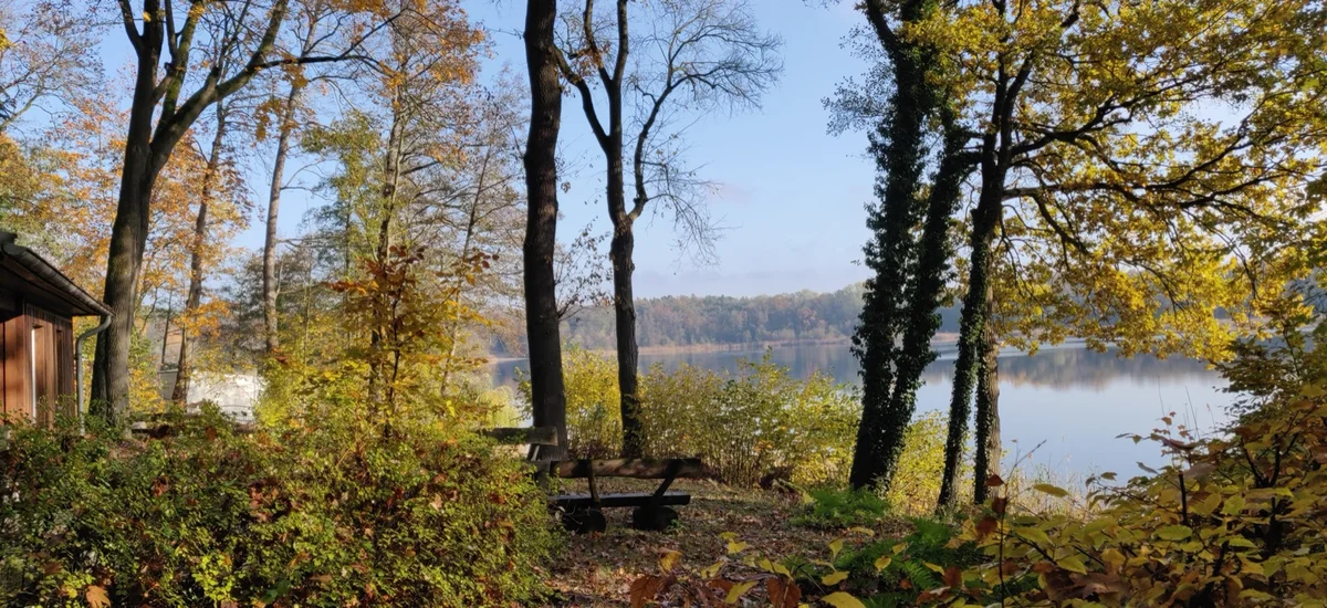Grunewald-See, ruhiges Wasser zwischen Bäumen