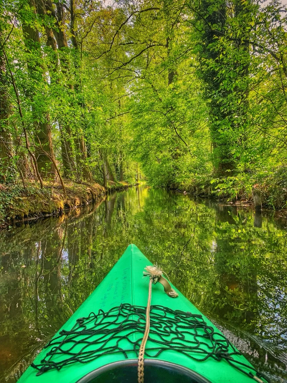 Spreewald-Fließ bei Burg, ruhiges Wasser zwischen Wald