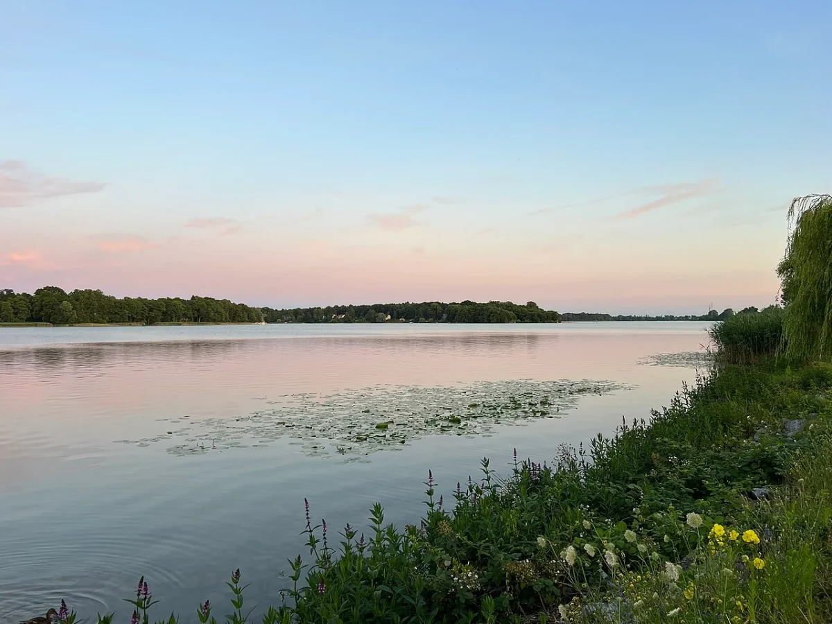 Blick auf den Rhin im Landschaftsschutzgebiet Ruppiner Wald- und Seengebiet bei Neuruppin, Brandenburg