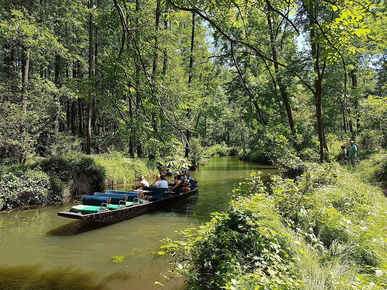 Kahnfahrt durch den Spreewald-Hochwald, grüner Wasserkanal zwischen hohen Bäumen